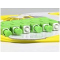 Pigtail światłowodowy FO SM SC/APC 9/125 OS2 Easy Strip BKT 2m 6szt