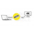 ROLINE GOLD Adapter DisplayPort -> HDMI 4K@60 (wtyk / gniazdo) złoty