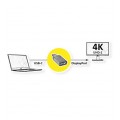 ROLINE GOLD Adapter USB 3.1 typ-C -> DisplayPort 4K@60 (wtyk / gniazdo) złoty