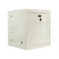 Szafa wisząca RACK 10" 6U 300mm drzwi szklane szara NEKU TS