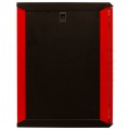 Szafa wisząca RACK 19" 12U 450mm drzwi szklane czerwono-czarna GT