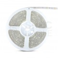 Taśma 150x LED 5050 4.8W/mb natural biała 4000K IP65 12V op=5m V-TAC VT-5050 30-IP65