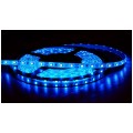 Taśma 300x LED 3528 niebieska IP65 12V op=5m