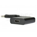 UNITEK Adapter DisplayPort 1.1a / HDMI FHD@60 (wtyk / gniazdo) 20cm