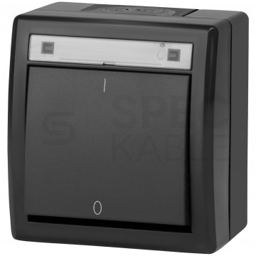 Łącznik podwójny natynkowy hermetyczny IP55 antracytowy 10AX Aquant 2K