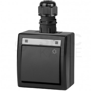 Przycisk odbijający "światło" natynkowy hermetyczny IP65 antracytowy 10AX Aquant 2K