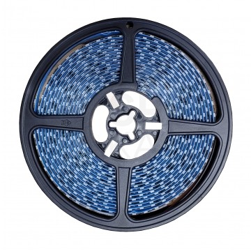Taśma 600x LED 2835 SMD niebieska IP65 12V op=5m